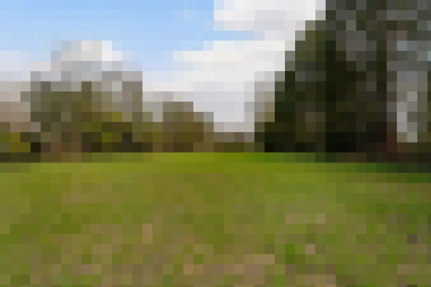 Brede Heide 5 Boxtel thumbnail 68
