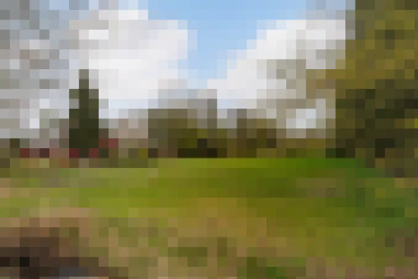 Brede Heide 5 Boxtel thumbnail 69