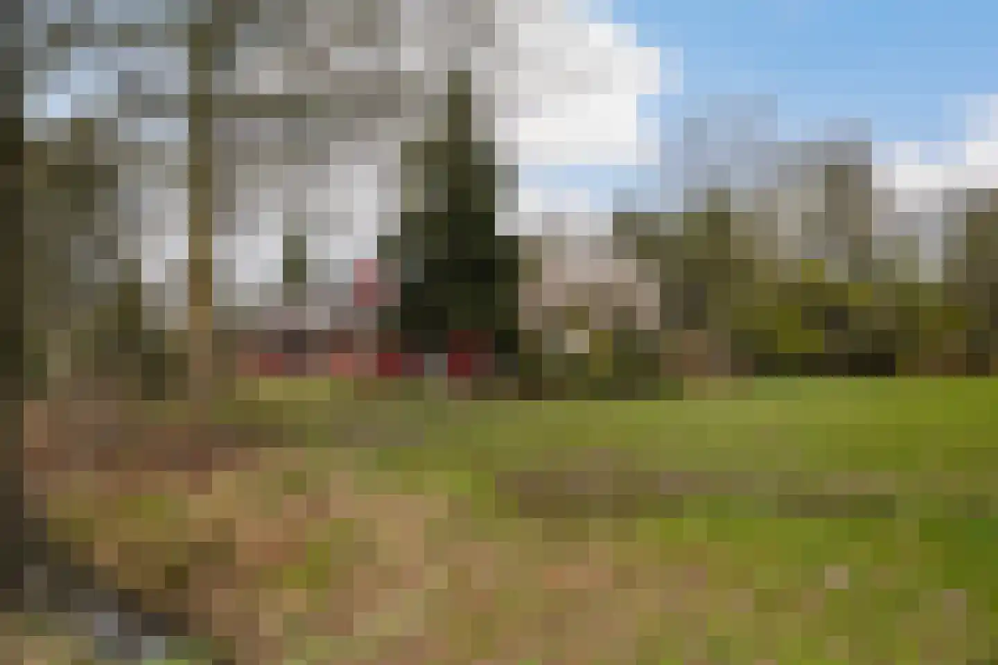 Brede Heide 5 Boxtel thumbnail 70