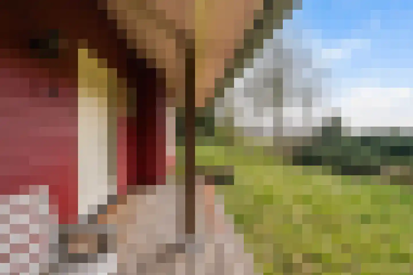 Brede Heide 5 Boxtel thumbnail 73