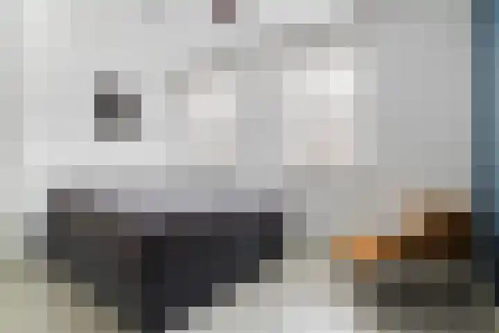 Brede Hilledijk 534 Rotterdam thumbnail 12