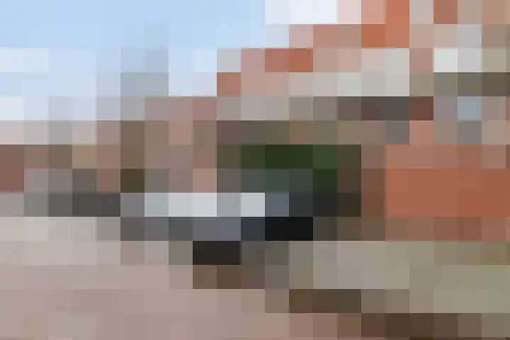 Brede Hilledijk 534 Rotterdam thumbnail 22