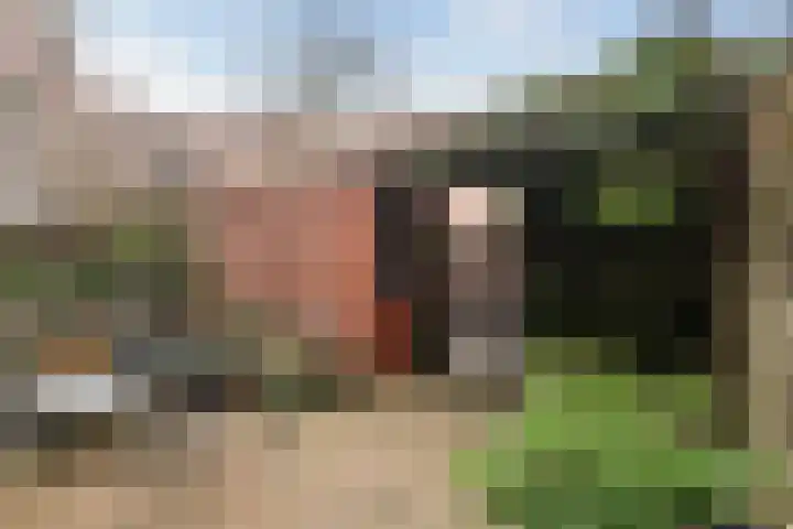 Brede Hilledijk 534 Rotterdam thumbnail 4