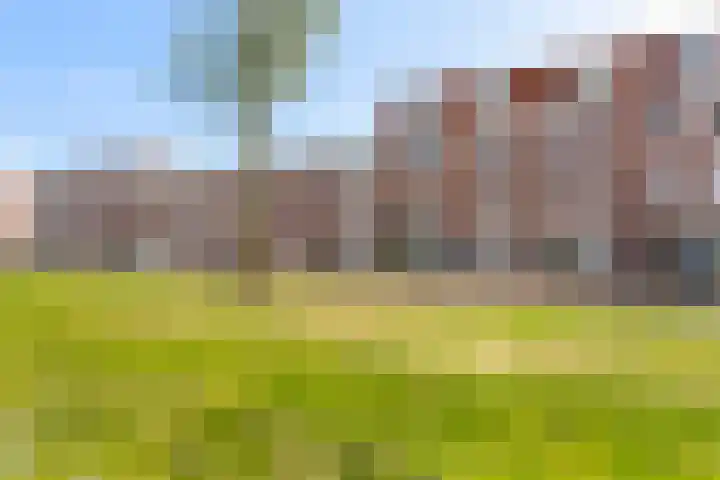 Brede Hilledijk 590 Rotterdam thumbnail 38