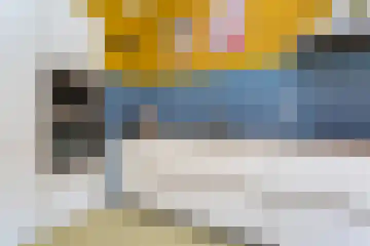 Brede Hilledijk 590 Rotterdam thumbnail 7