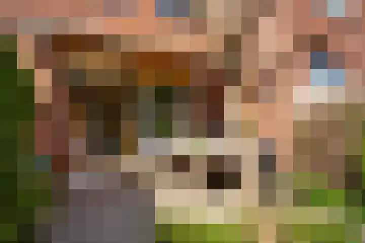 Brede Hilledijk 590 Rotterdam thumbnail 9