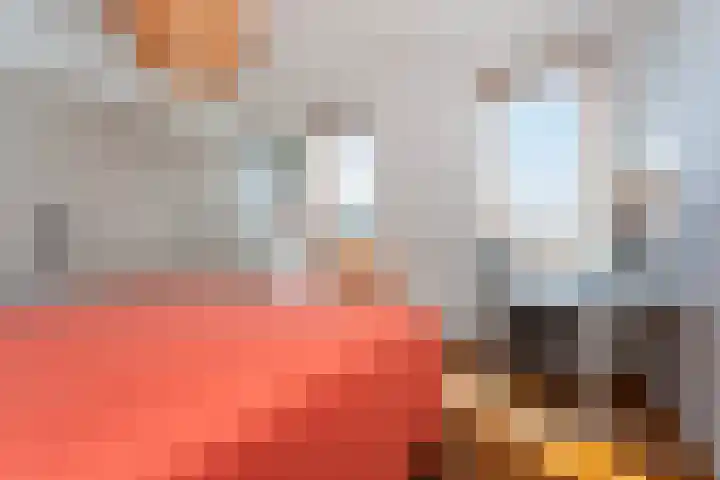 Brede Hilledijk 608 Rotterdam thumbnail 14