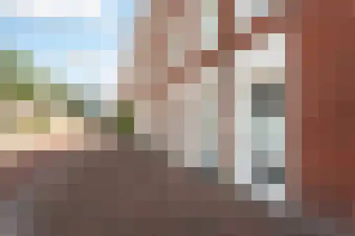 Brede Hilledijk 608 Rotterdam thumbnail 30