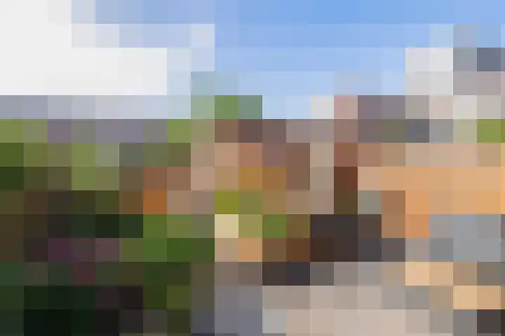 Brede Hilledijk 624 Rotterdam thumbnail 23