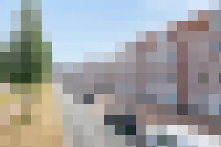 Brede Hilledijk 624 Rotterdam thumbnail 5