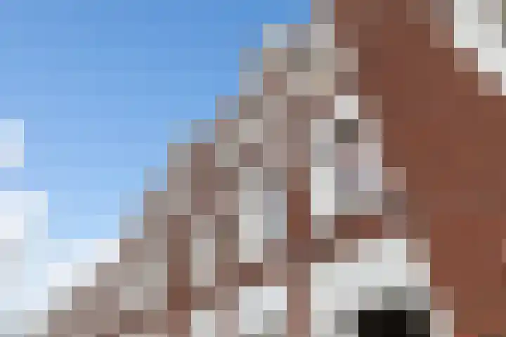 Brede Hilledijk 630 Rotterdam thumbnail 6
