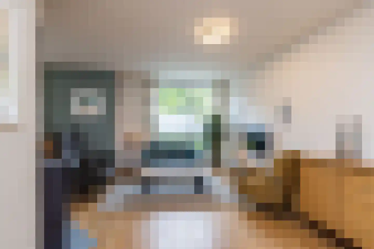 Brede Hoolstraat 16 Reijmerstok thumbnail 10