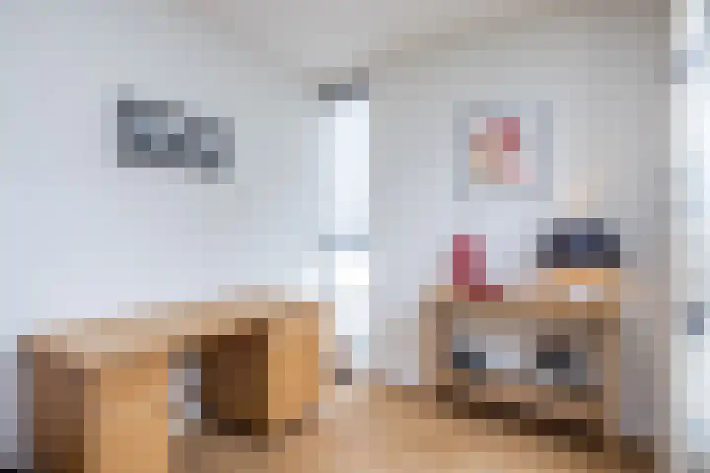 Brede Hoolstraat 16 Reijmerstok thumbnail 14