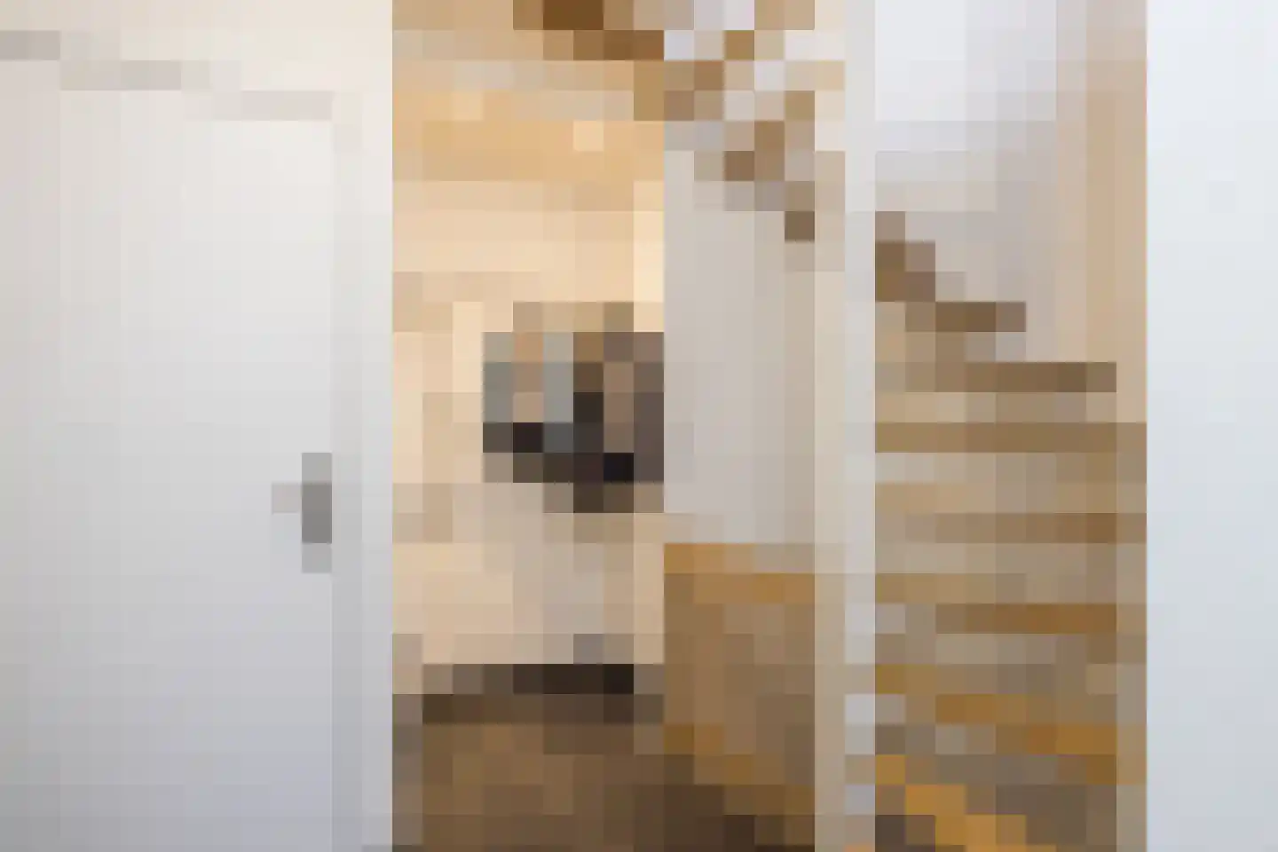 Brede Hoolstraat 16 Reijmerstok thumbnail 6