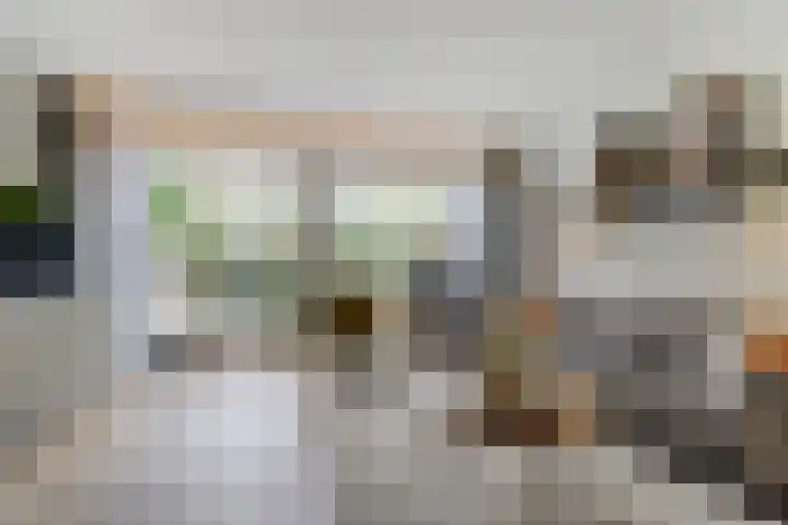 Brede Schouw 29 Reeuwijk thumbnail 10