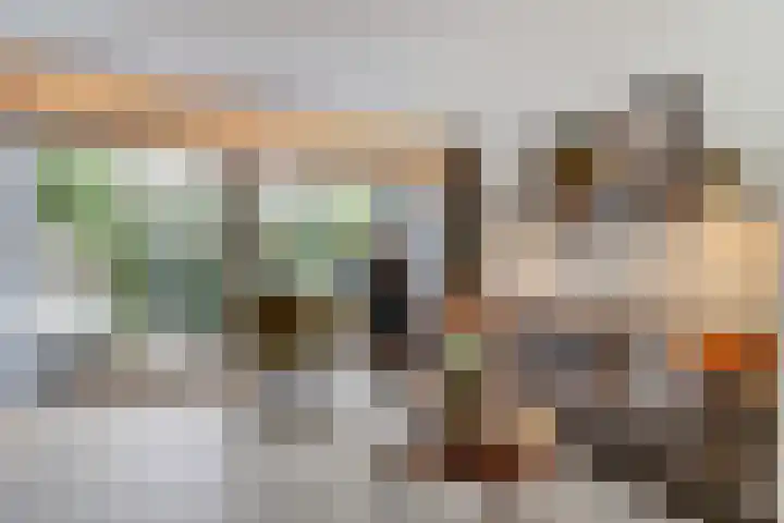 Brede Schouw 29 Reeuwijk thumbnail 12