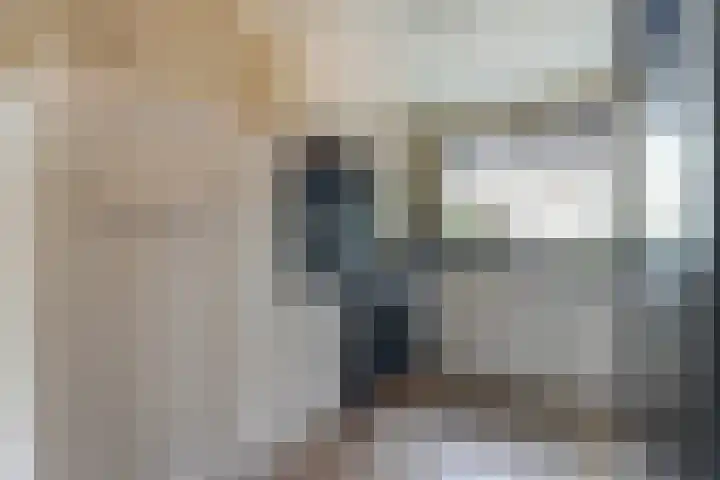 Brede Schouw 29 Reeuwijk thumbnail 15