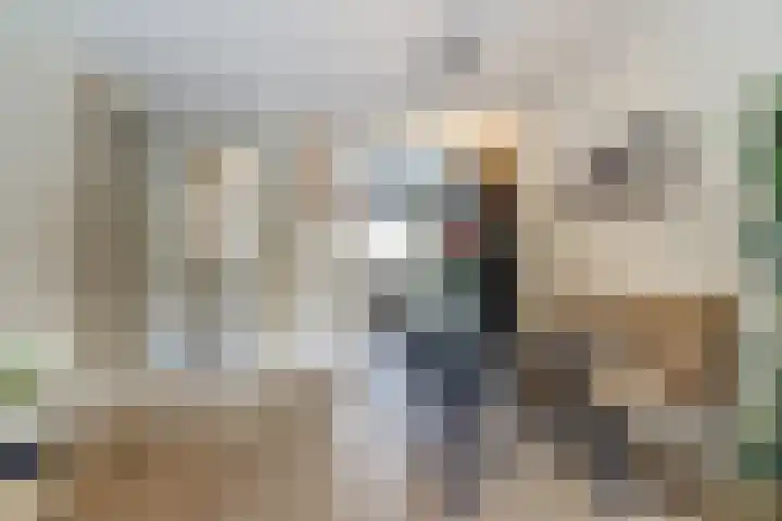 Brede Schouw 29 Reeuwijk thumbnail 18