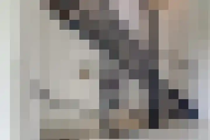 Brede Schouw 29 Reeuwijk thumbnail 20
