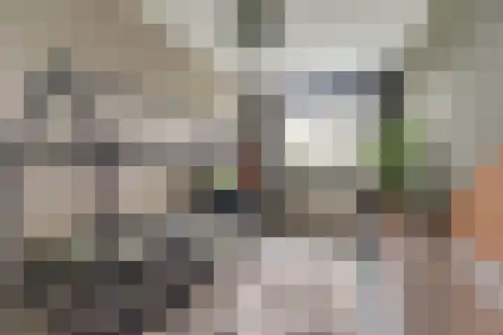 Brede Schouw 29 Reeuwijk thumbnail 23
