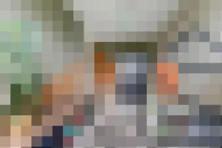 Brede Schouw 29 Reeuwijk thumbnail 24