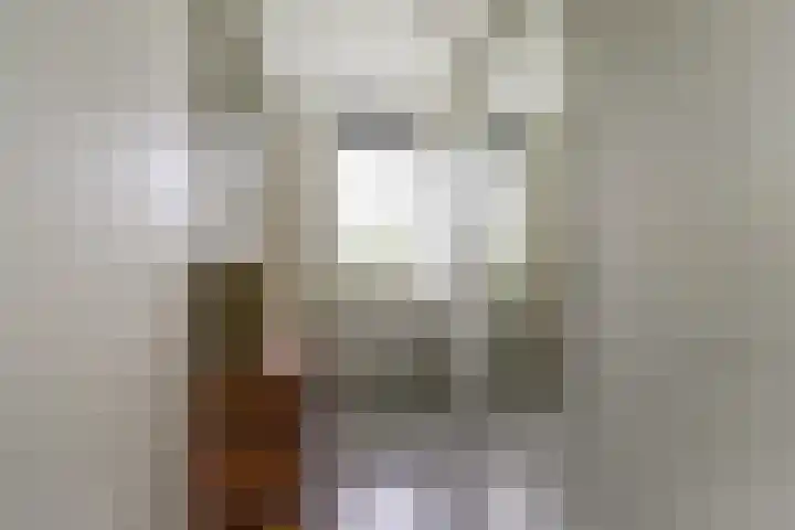 Brede Schouw 29 Reeuwijk thumbnail 25