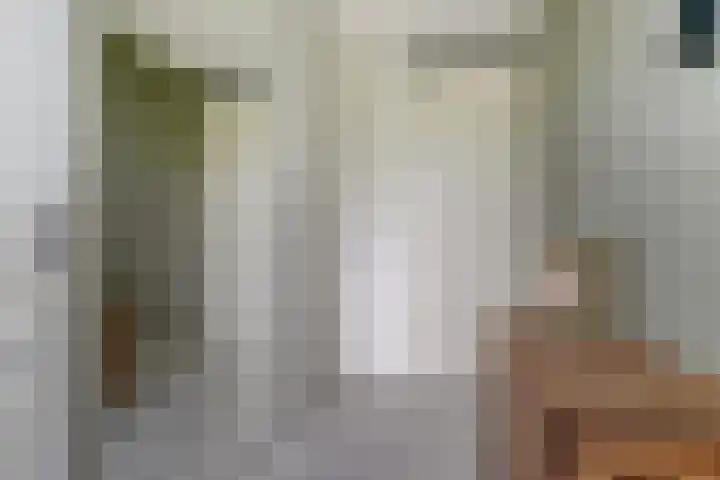 Brede Schouw 29 Reeuwijk thumbnail 26
