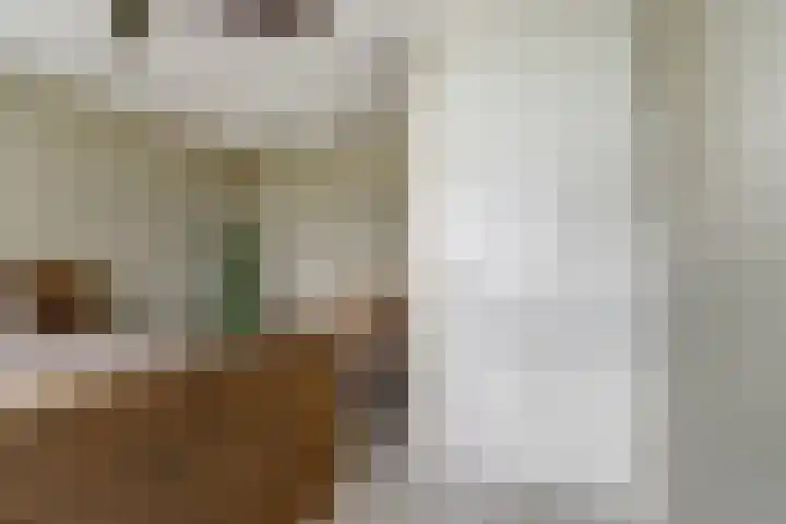 Brede Schouw 29 Reeuwijk thumbnail 30
