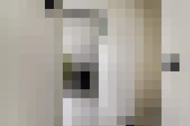 Brede Schouw 29 Reeuwijk thumbnail 31