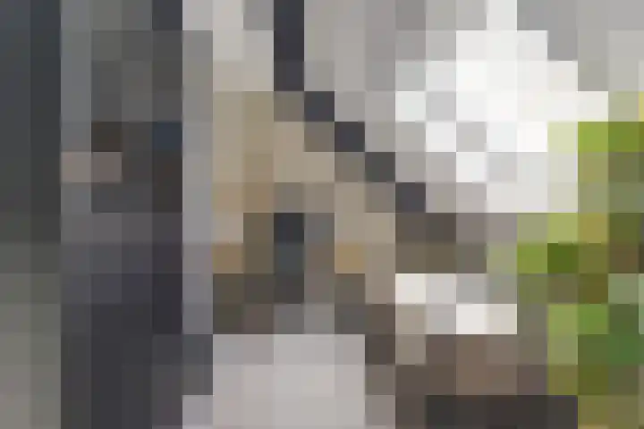 Brede Schouw 29 Reeuwijk thumbnail 32