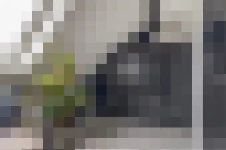 Brede Schouw 29 Reeuwijk thumbnail 33