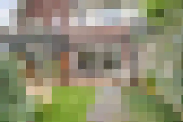 Brede Schouw 29 Reeuwijk thumbnail 34
