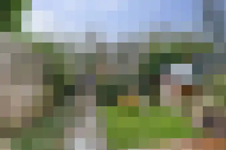 Brede Schouw 29 Reeuwijk thumbnail 36
