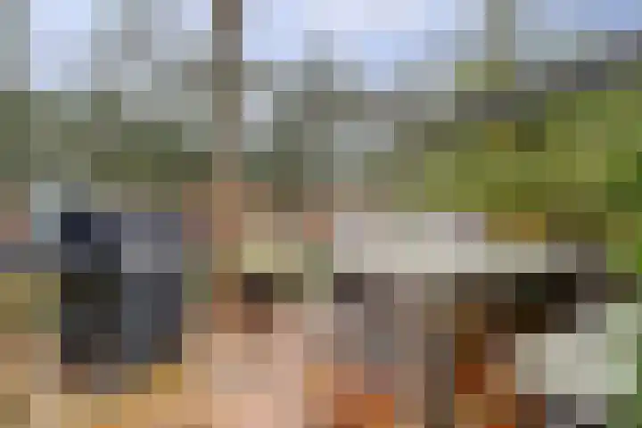 Brede Schouw 29 Reeuwijk thumbnail 38
