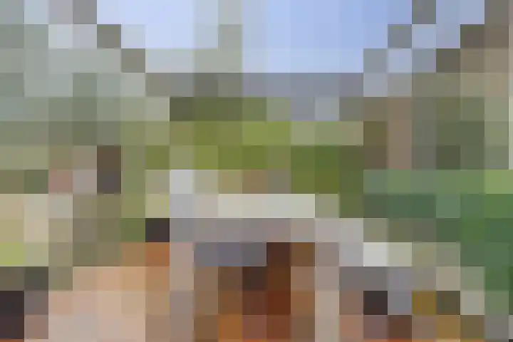 Brede Schouw 29 Reeuwijk thumbnail 39
