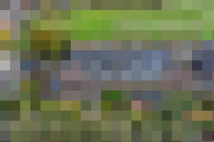 Brede Schouw 29 Reeuwijk thumbnail 42