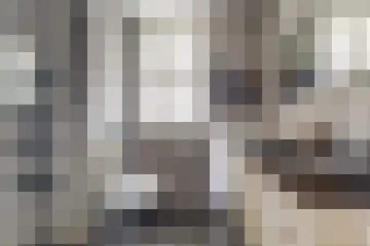 Brede Schouw 29 Reeuwijk thumbnail 5