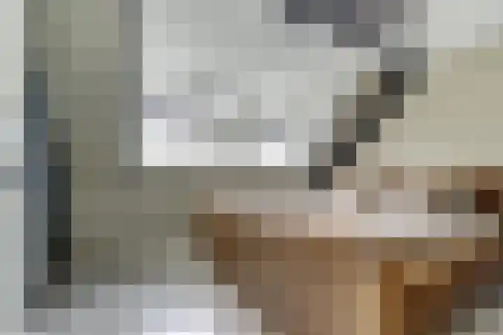 Brede Schouw 29 Reeuwijk thumbnail 6