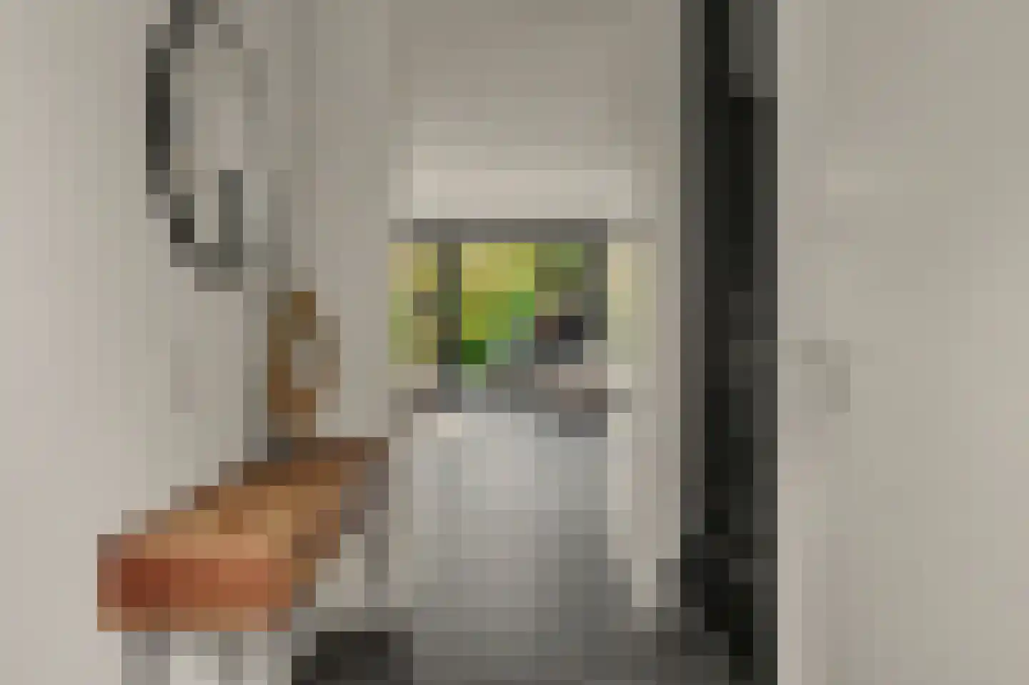 Brede Schouw 5 Reeuwijk thumbnail 11