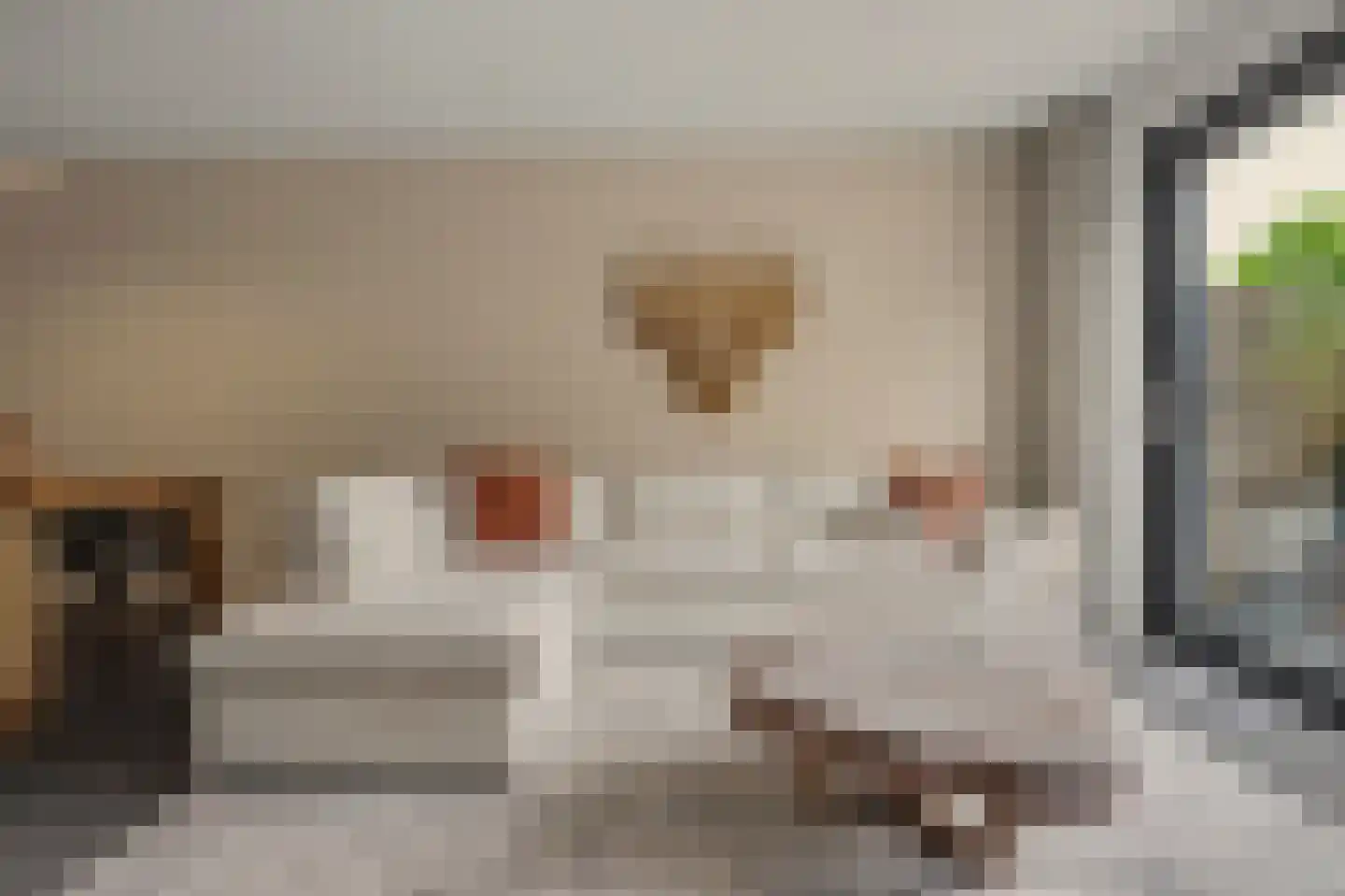 Brede Schouw 5 Reeuwijk thumbnail 13