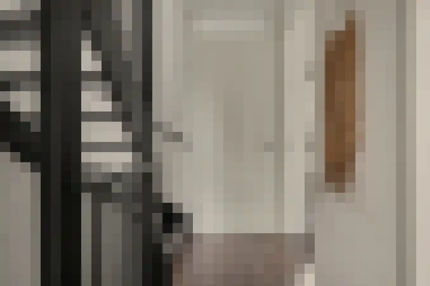 Brede Schouw 5 Reeuwijk thumbnail 20