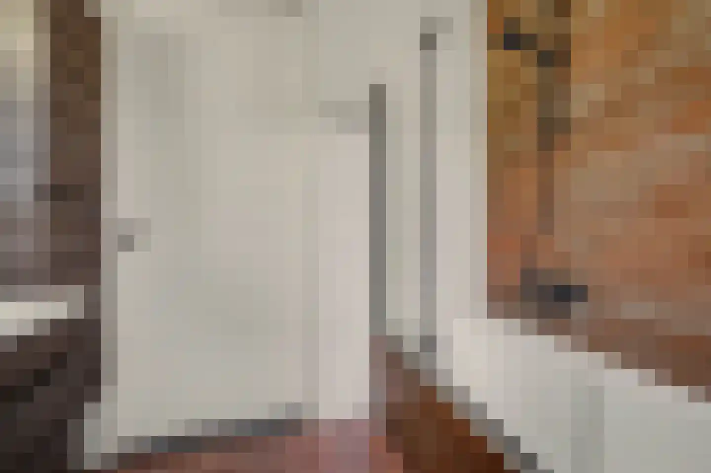 Brede Schouw 5 Reeuwijk thumbnail 26