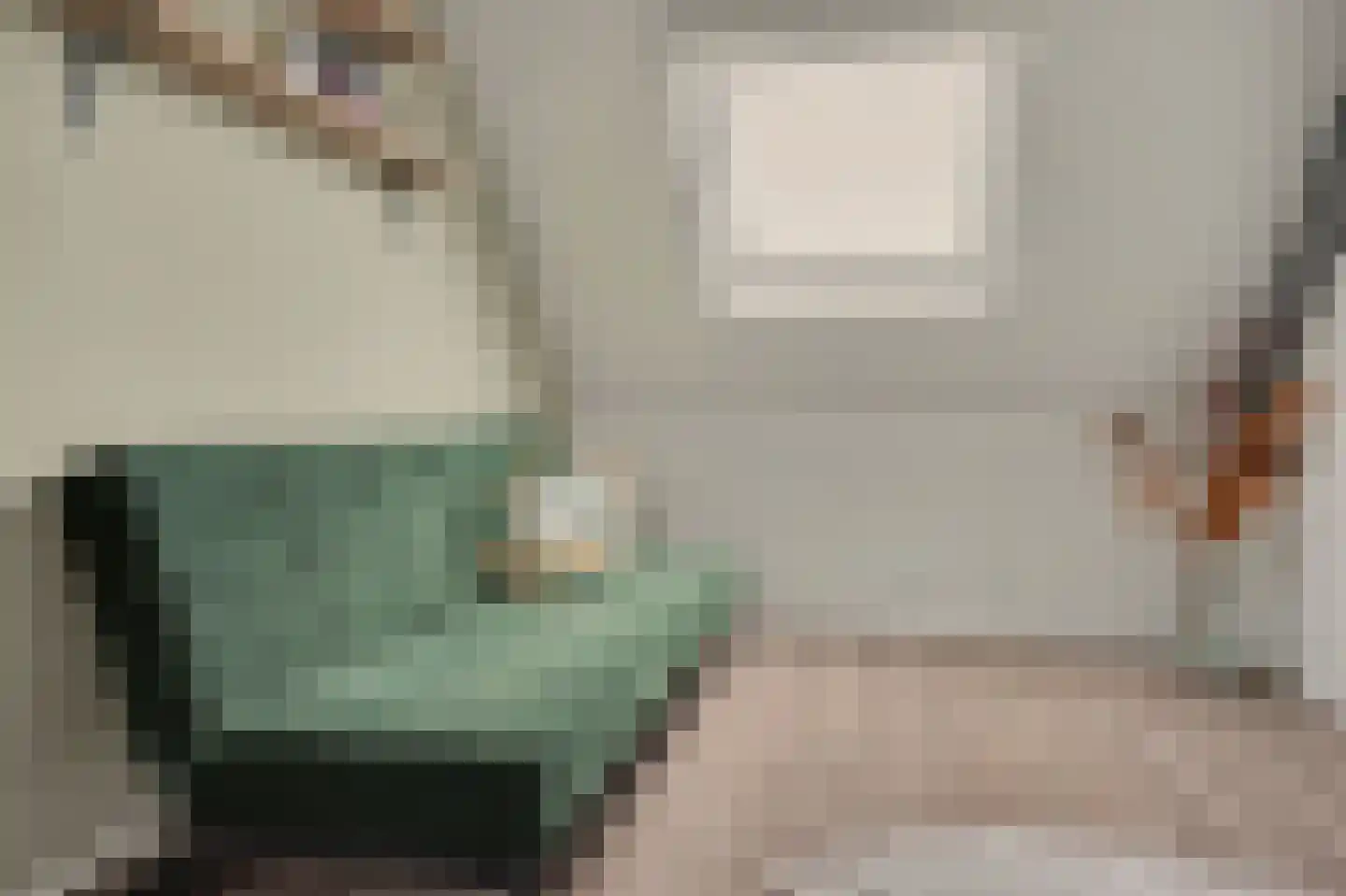 Brede Schouw 5 Reeuwijk thumbnail 30