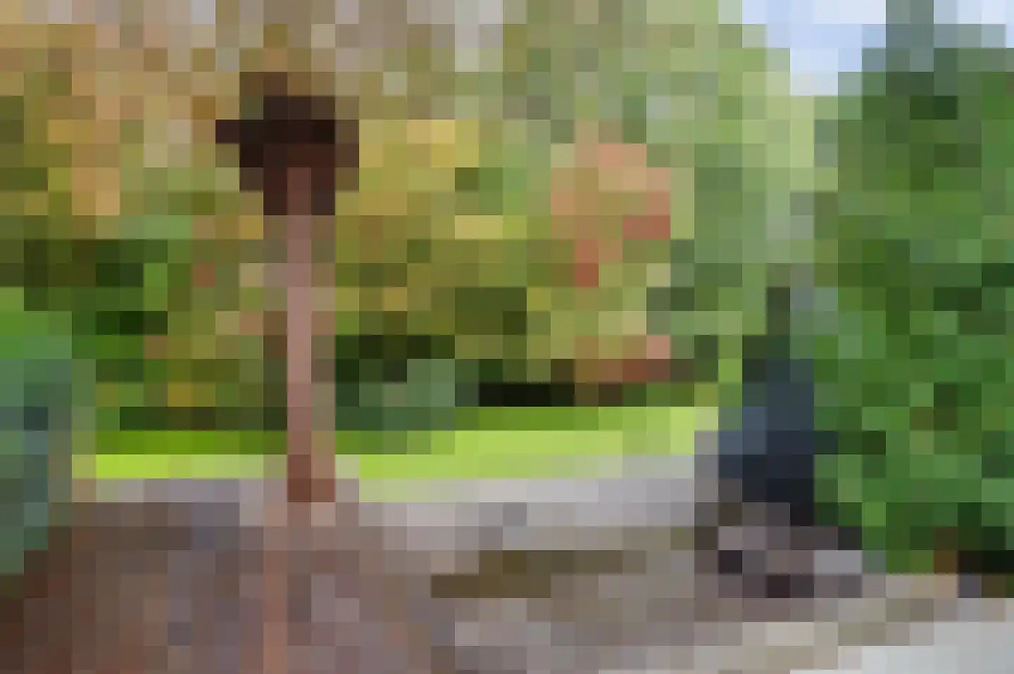 Brede Schouw 5 Reeuwijk thumbnail 31