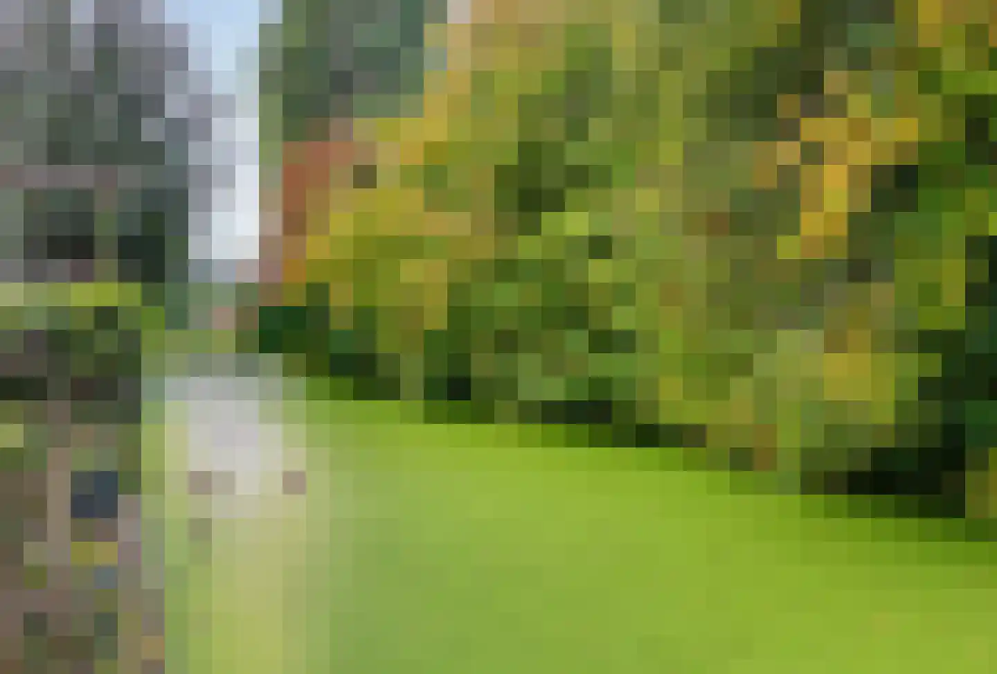 Brede Schouw 5 Reeuwijk thumbnail 33