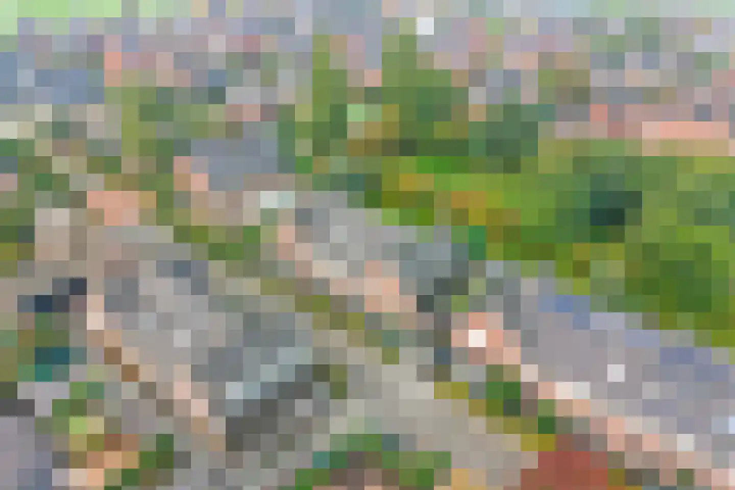 Brede Schouw 5 Reeuwijk thumbnail 39