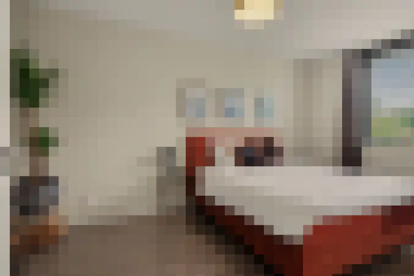 Brede Schouw 5 Reeuwijk thumbnail 5