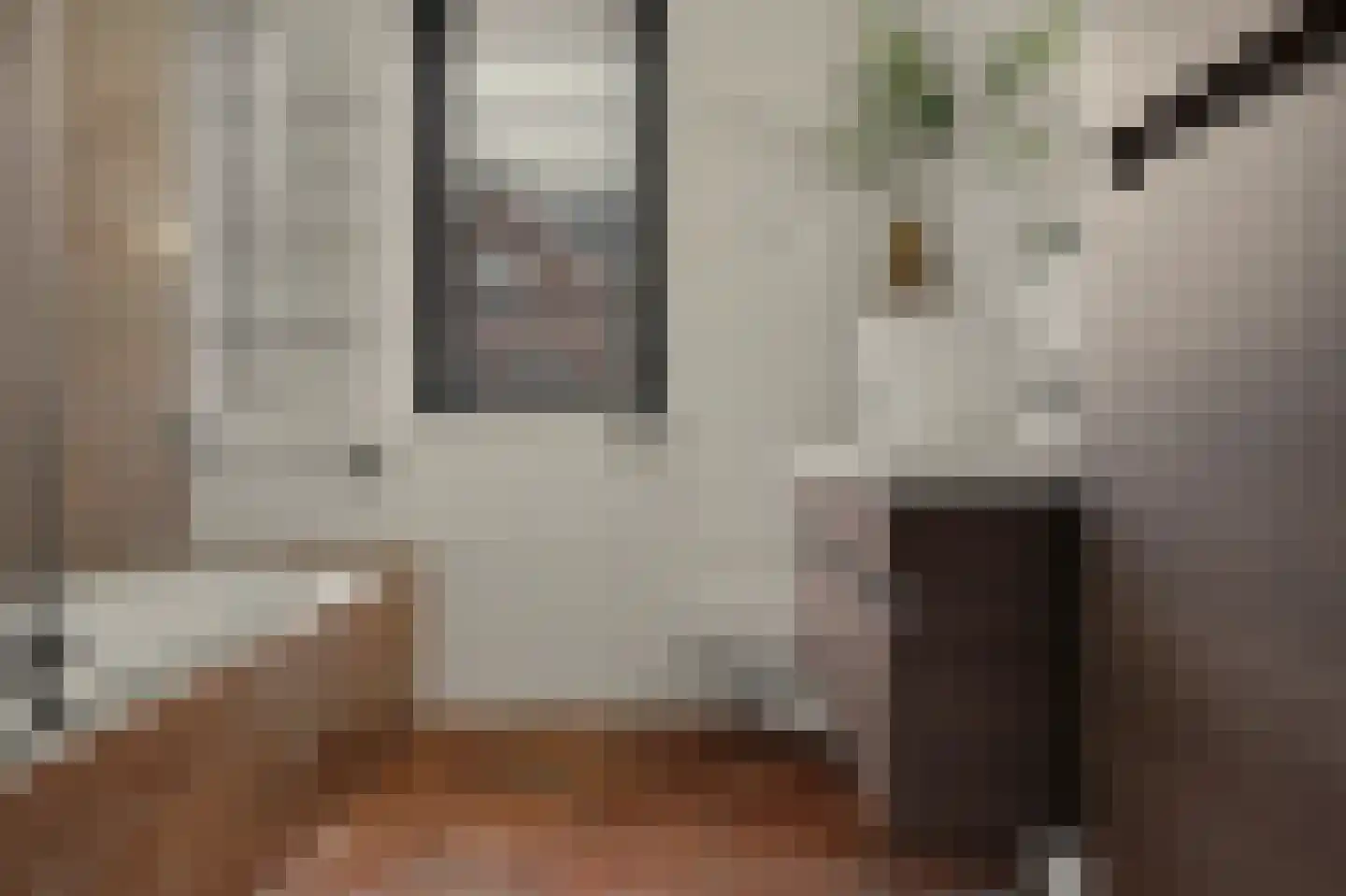 Brede Schouw 5 Reeuwijk thumbnail 6