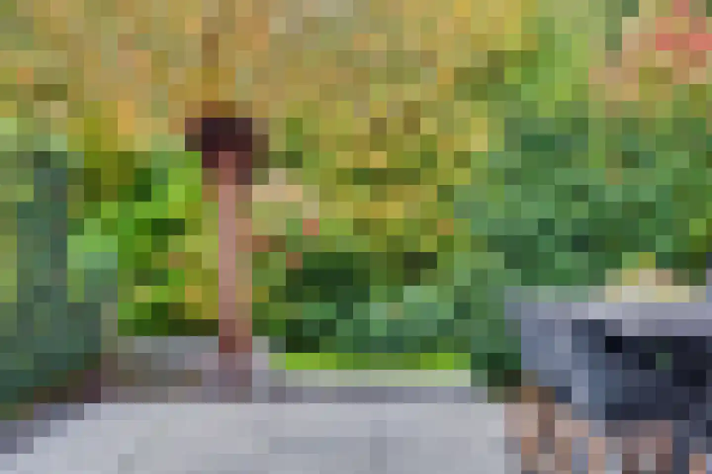 Brede Schouw 5 Reeuwijk thumbnail 8