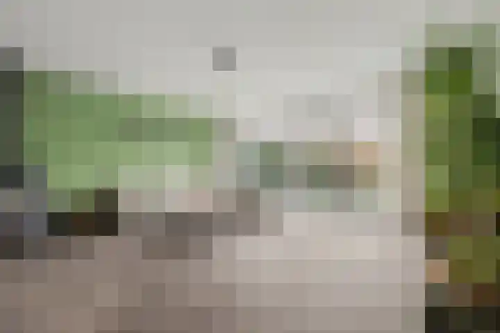 Brede Schouw 7 Reeuwijk thumbnail 10
